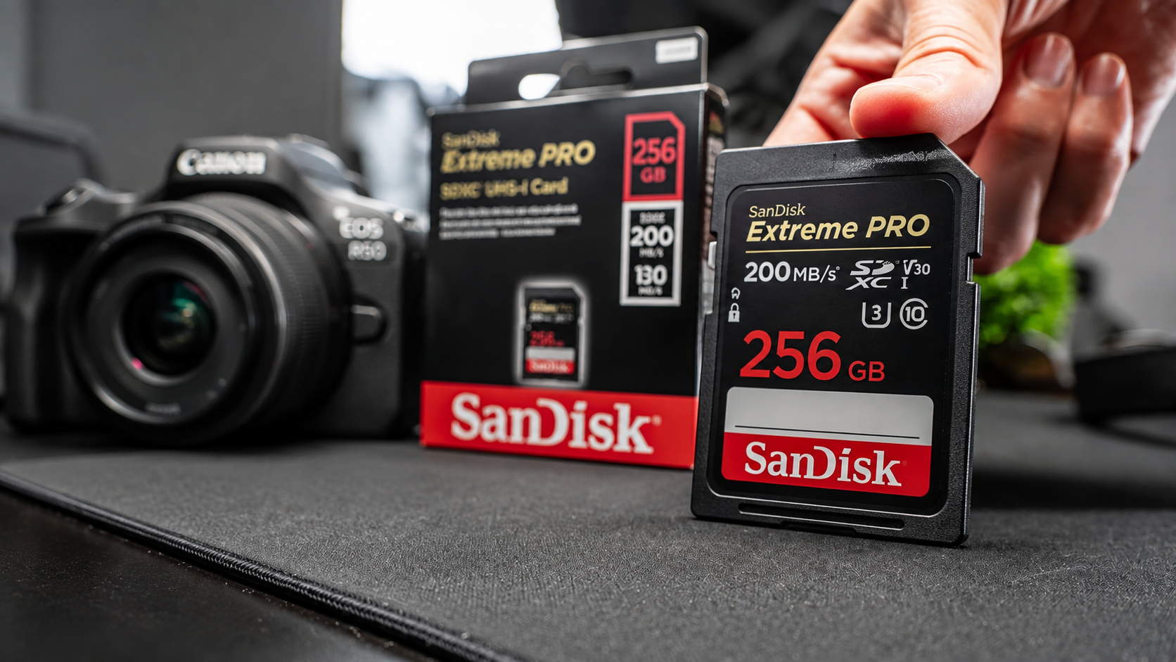 5 Best Memory Cards for Canon R50 (Don’t Risk the Shot)