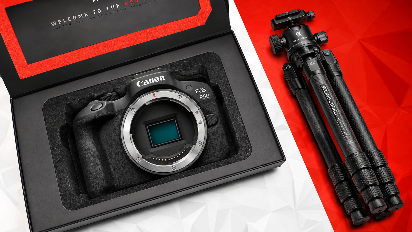 5 Best Tripods for Canon R50 From $80 to Premium