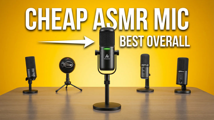 5 Cheap ASMR Microphones That Sound Like $500 Mics – Packapop