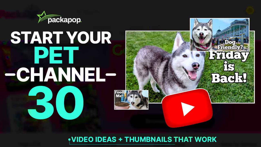 30 Best Pet & Animal Care YouTube Video Ideas to Try in 2025